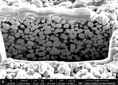 The scintillator dispersed among the light-absorbing polymer 